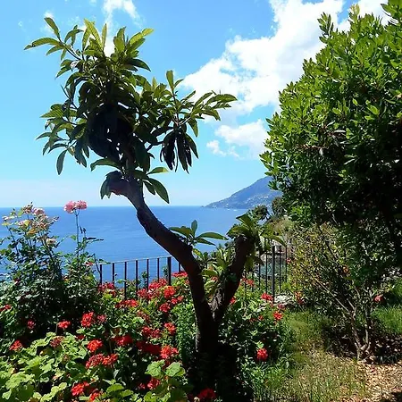 Daire View Amalfi