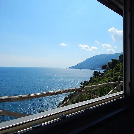 View * 아말피
