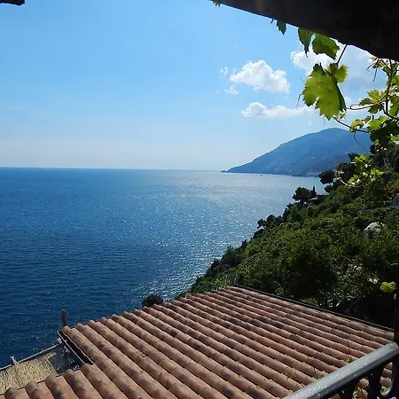 Daire View
