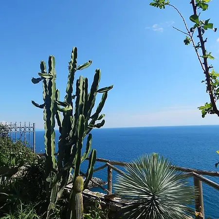 View Daire *