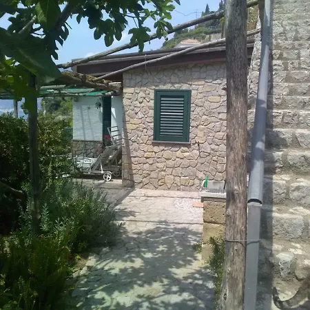 View Daire *